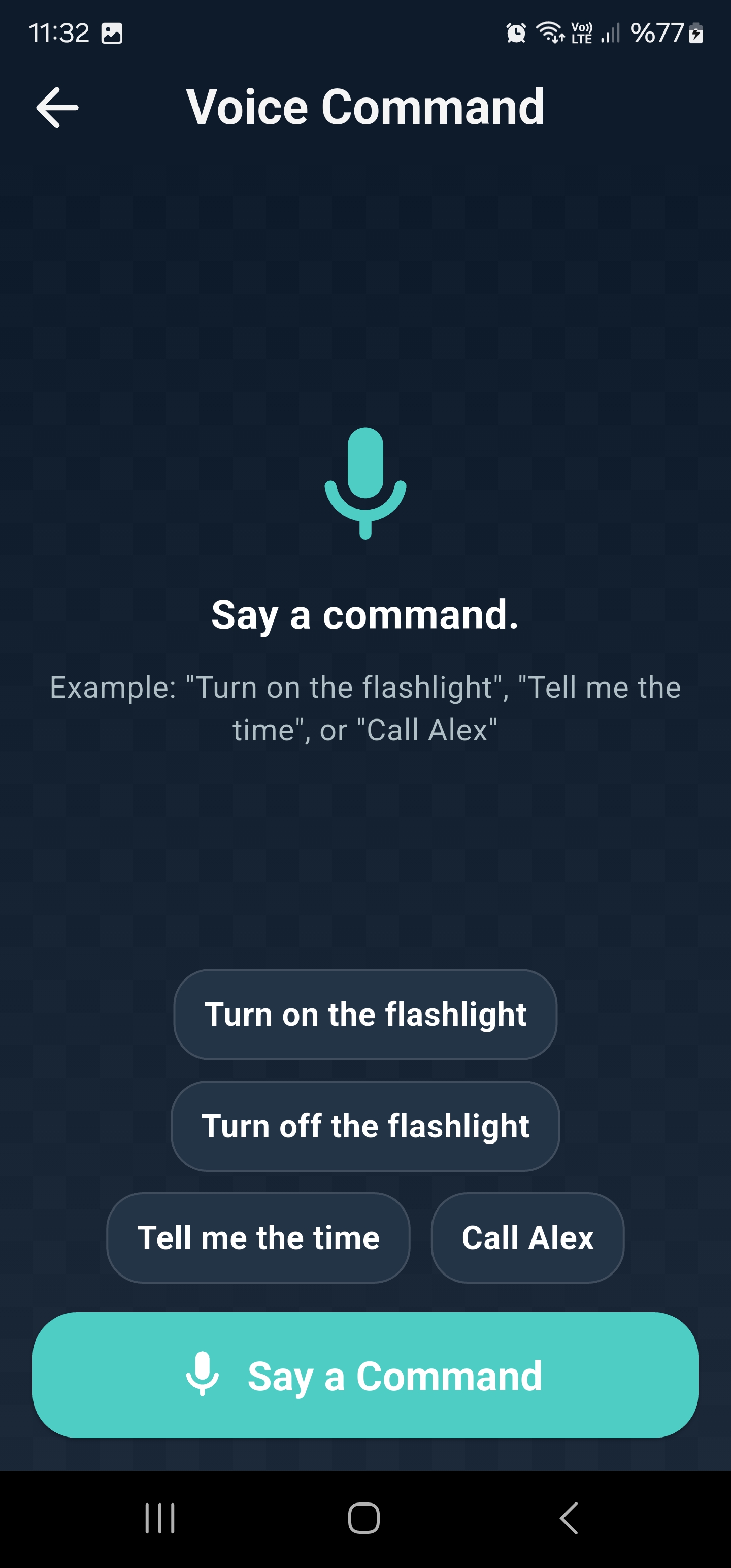 Vizia voice command screen